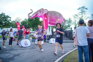 BIB: 
                            <button type="button" onclick="openModal(26551667)" class="btn btn-primary btn-sm float-right btn-popup" data-toggle="modal" data-target=".modal-high-quality">
                        <i class="fas fa-shopping-cart"></i> Add to Cart
                    </button>
                                            <button type="button" onclick="isThisMe(26551667, true)" class="btn btn-success btn-sm float-right btn-popup btn-isme hidden" data-toggle="tooltip" data-placement="bottom" title="นี่คือรูปของคุณใช่ไหม คลิกที่นี่เพื่อเอาเข้าอัลบั้ม">
                        <i class="fas fa-plus"></i> Add to album
                    </button>
                    <button type="button" onclick="isThisMe(26551667, false)" class="btn btn-warning btn-sm float-right btn-popup btn-isnotme hidden">
                        <i class="fas fa-ban"></i> Remove from album
                    </button>